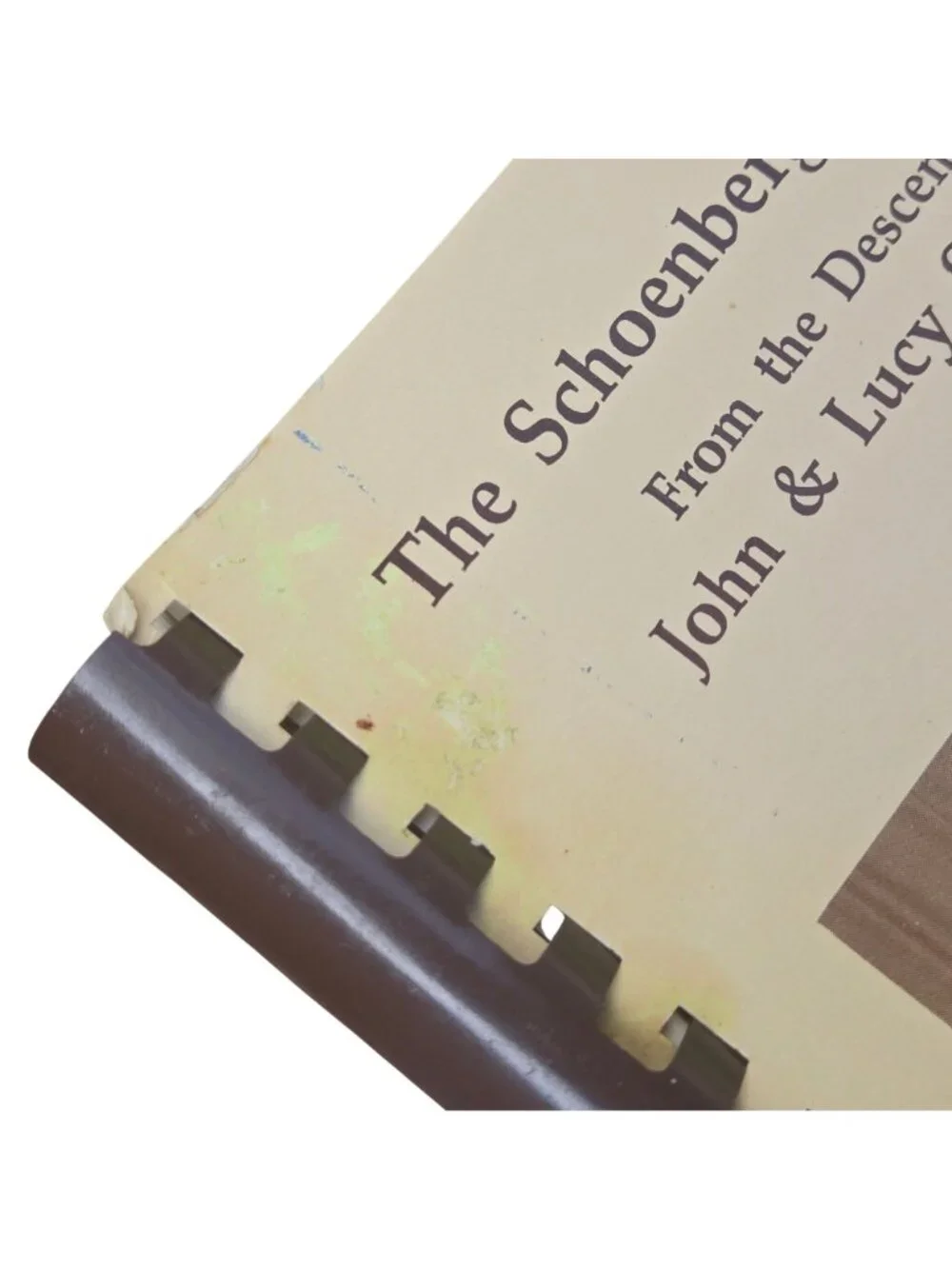 The Schoenberger Collection Cookbook Descendants Of John & Lucy 1989 Recipe book